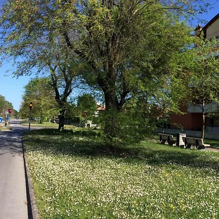 Apartamento Fuer 4 Personen Ca 25 Qm In Bibione, Adriakueste Italien Und Umgebung *